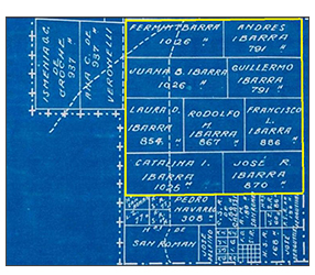 Detalle de Propiedades de los hijos de Don Román Ramón Ibarra