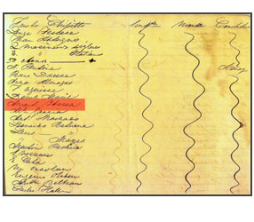 Libro de entrada de pasajeros - Román ramón Ibarra