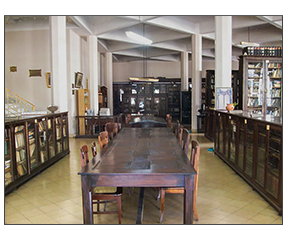Interior de la Biblioteca Municipal Juan Francisco Ibarra
